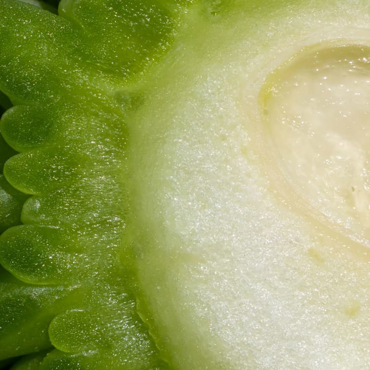 HUILE VEGETALE DE COCO désodorisée BIO et COSMOS