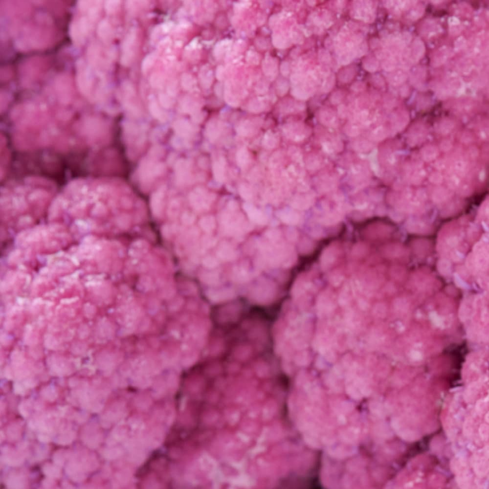 Excellence de l'approvisionnement